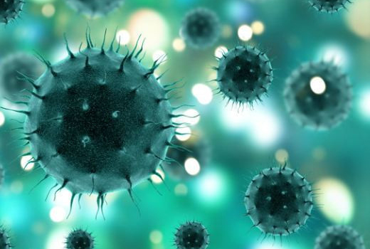 The principle of microwave disinfection