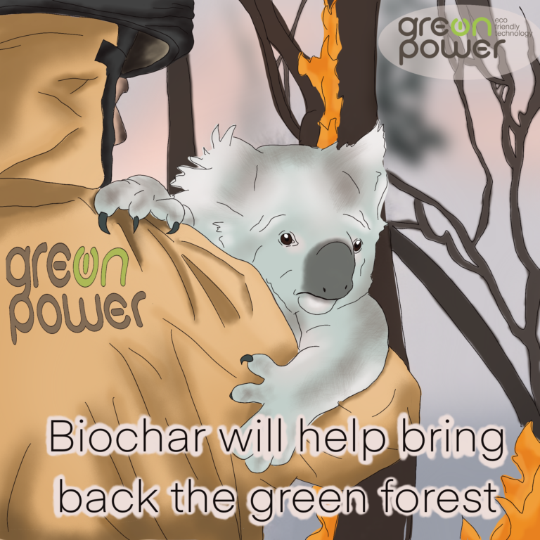 How to eliminate the consequences of forest fires?