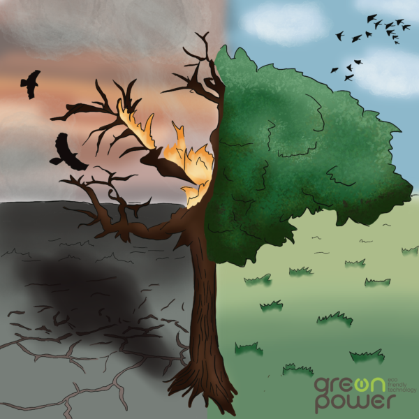 SOS !!! Biochar is a solution to the problem of burnt forests.