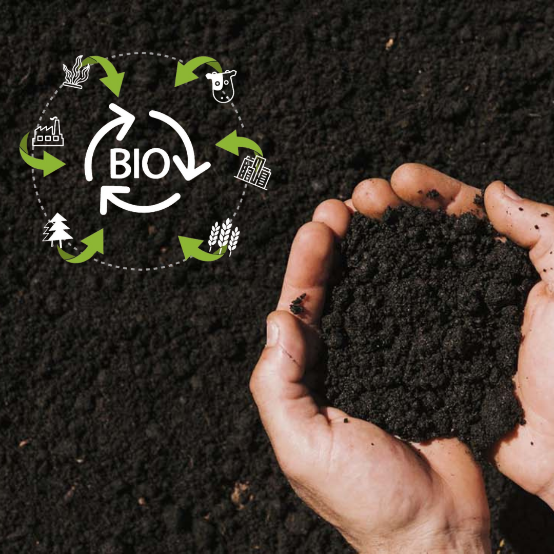 Как биоуголь снижает выбросы парниковых газов и способствует экологической стабильности