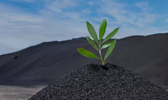 Биоуголь из куриного помёта и навоза: простое объяснение